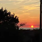 Veronica * Porec